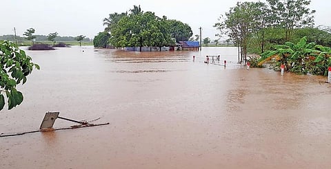 திருநெல்வேலி பகுதியில் நேற்று பகலில் தொடர்ந்து பெய்த கனமழையால், கிருஷ்ணாபுரம் பகுதியில் வீடுகளை தண்ணீர் சூழ்ந்தது. (அடுத்த படம்) மேலப்பாளையம் அருகேயுள்ள வசந்தபுரத்தில் சாலையில் முழங்கால் அளவுக்கு தண்ணீர் தேங்கியிருந்தது. (கடைசி படம்) மேலப்பாளையத்தில் இருந்து ரெட்டியார்பட்டிக்கு செல்லும் சாலை முழுவதும் மூழ்கியுள்ளது.படங்கள்: மு.லெட்சுமி அருண்.