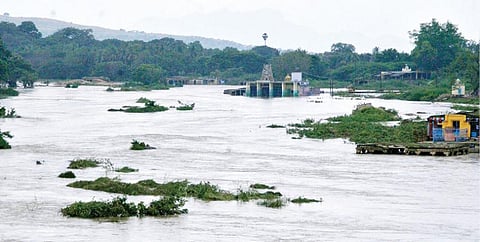 திருநெல்வேலியில் கரையோர மண்டபங்களை மூழ்கடிக்கும் அளவுக்கு தாமிரபரணியில் நேற்று வெள்ளம் கரைபுரண்டது.படம் மு. லெட்சுமி அருண்