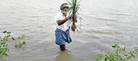 விருத்தாசலத்தை அடுத்த சாத்துக்கூடல் கிராமத்தில் விளைநிலங்களில் தேங்கியுள்ள தண்ணீர்.