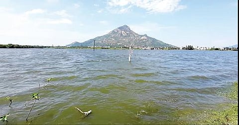 திருவண்ணாமலை அடுத்த நொச்சிமலை ஏரி நிரம்பியுள்ளது.