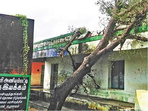 கொடைக்கானல் வில்பட்டி பிரிவு அருகே சாலையின் குறுக்கே விழுந்த மரத்தை அகற்றும் தீயணைப்பு வீரா்கள்.