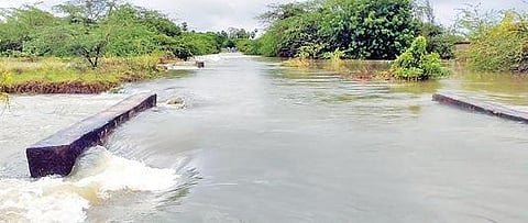 மரக்காணம் அருகே அசப்பூர்- ராயநல்லூர் கிராமங்களுக்கு இடையே செல்லும் தார் சாலை .