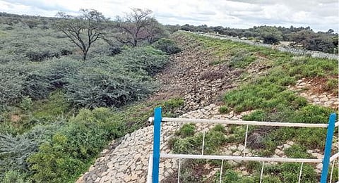 அமராவதி ஆற்றில் இருந்து 17 ஆண்டுகளுக்கு பிறகு - வட்டமலைக்கரை ஓடை அணைக்கு தண்ணீர் திறப்பு :