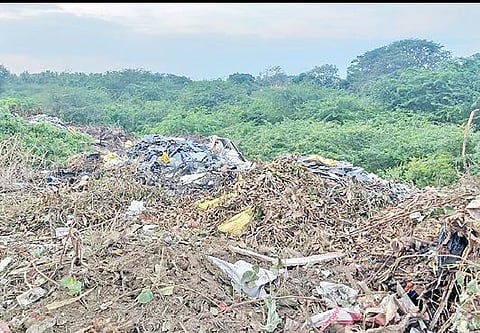 நகை, பயிர்க் கடன் வழங்கியதில் ரூ.1,000 கோடி முறைகேடு : அமைச்சர் பழனிவேல் தியாகராஜன் தகவல்