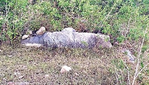 ஜவ்வாதுமலையில் கண்டெடுக்கப்பட்ட பெருங்கற்கால புதைவிடங்கள்.