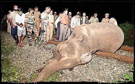 எங்கே செல்லும் இந்தப் பாதை?