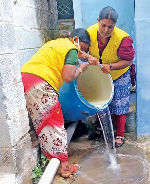 திருப்பூர் அரசு மருத்துவக் கல்லூரி மருத்துவமனையில் - ஏழு குழந்தைகள் உட்பட 17 பேருக்கு டெங்கு காய்ச்சலுக்கு சிகிச்சை : கொசு ஒழிப்பு பணிகளை துரிதப்படுத்த மக்கள் கோரிக்கை