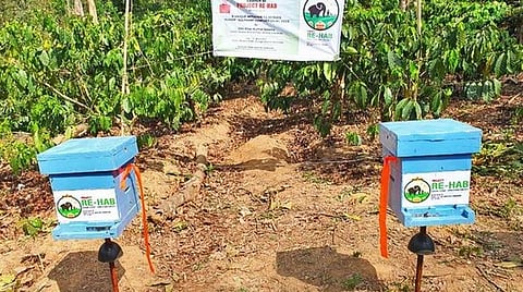 தேனீக்களைப் பயன்படுத்தி யானை- மனித மோதலைத் தடுக்கும் திட்டம்: அசாமில் தொடக்கம்
