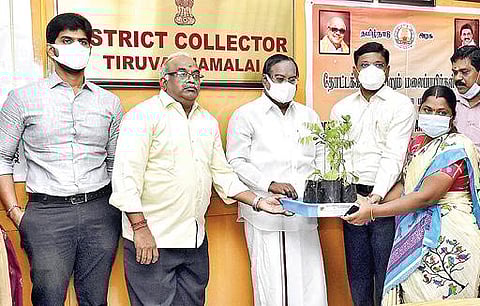 நகர்புறம், கிராமப்பகுதி மக்கள் பயன்பெற - மாடித்தோட்டம், காய்கறி தோட்டம் அமைக்க ஏற்பாடு :