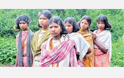 பழங்குடி மக்களின் குடிப் பெயர்ச்சி: துயரும் துயர் துடைப்பும்..