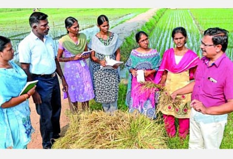 கோப்புப் படம்