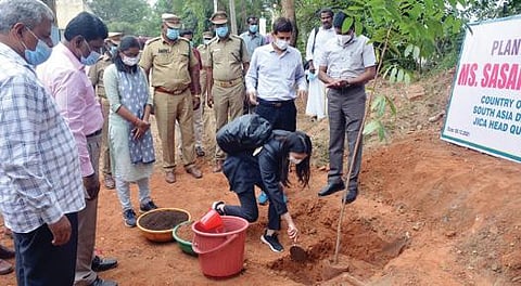 கிருஷ்ணகிரி போலுப்பள்ளி வனவிரிவாக்க மையத்தில் ஆய்வு மேற்கொண்ட ஜப்பான் நாட்டின் நிதி உதவி திட்ட தெற்கு ஆசிய கோட்ட அலுவலர் சசாகி ஹிராரி மரக்கன்றுகள் நடவு செய்தார்.
