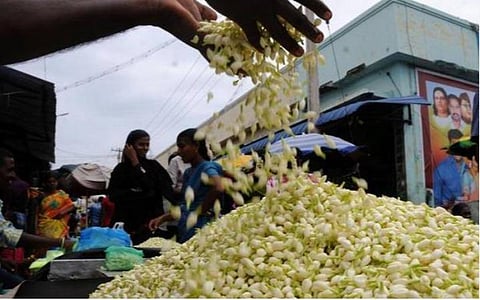 மதுரை மல்லிகை | கோப்புப் படம்