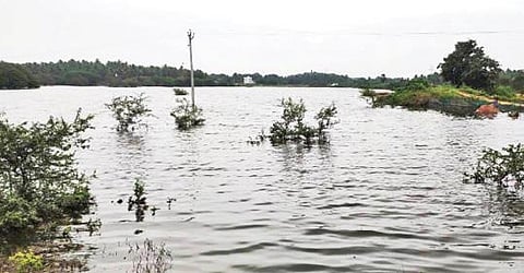 பாளேகுளி ஏரியில் இருந்து திறக்கப்பட்ட உபரிநீர் மற்றும் தொடர் மழையால் நீர்வரத்து அதிகரித்து நிரம்பிய வீரமலை ஏரி.