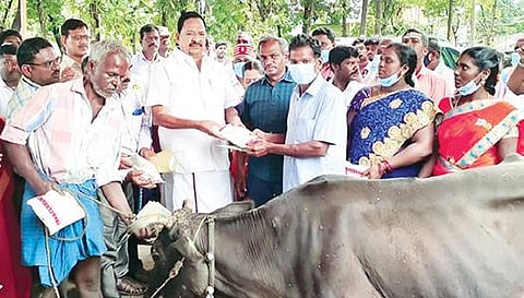 வாலாஜா ஒன்றியத்துக்கு உட்பட்ட வானாபாடி கிராமத்தில் கோமாரி நோய் தடுப்பூசி முகாமை அமைச்சர் ஆர்.காந்தி தொடங்கி வைத்தார். அருகில், மாவட்ட ஆட்சியர் பாஸ்கர பாண்டியன் உள்ளிட்டோர்.