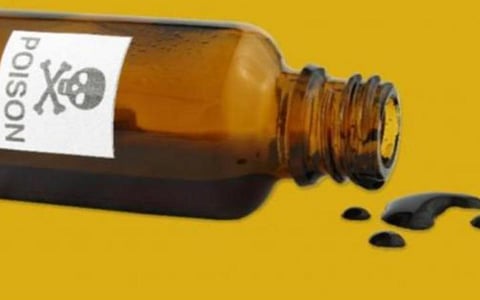 பொள்ளாச்சியில் விஷம் குடித்து தாய், மகள் தற்கொலை