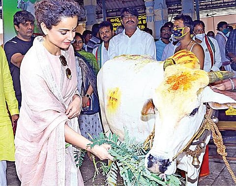 நடிகை கங்கனா ரனவத் நேற்று காலை திருப்பதி ஏழுமலையானை தரிசித்த பின்னர், வாயுத்தலமான காளஹஸ்தி சிவன் கோயிலில் ராகு-கேது பரிகார பூஜை செய்ததுடன், கோ பூஜையும் செய்து சுவாமியை வழிபட்டார்.