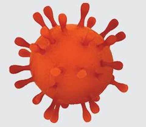 புதுச்சேரியில் புதிதாக 66 பேருக்கு கரோனா தொற்று: மீண்டும் அதிகரிக்க தொடங்கியது