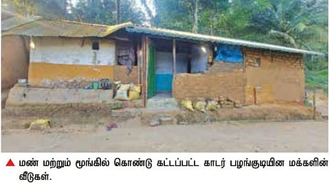 அரை நூற்றாண்டுக்கும் மேலாக மின் வசதிக்காக காத்திருக்கும் வன கிராம மக்கள்