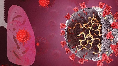 ஒமைக்ரான் பாதிப்பு குறைவா? - கூடுதல் எச்சரிக்கை அவசியமில்லையா?