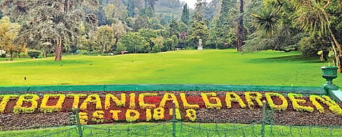 கரோனா 3-ம் அலை: மீண்டும் பாதிப்புக்குள்ளாகும் நீலகிரி மாவட்ட சுற்றுலா துறை