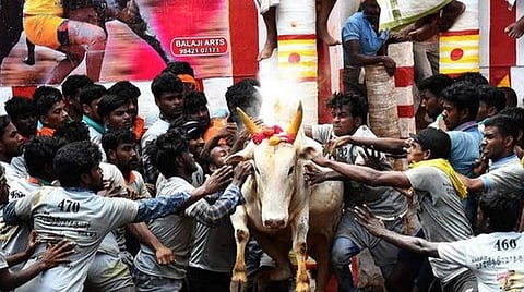 ஜல்லிக்கட்டுப் போட்டிகள் நிச்சயம் நடைபெறும்: அமைச்சர் மூர்த்தி