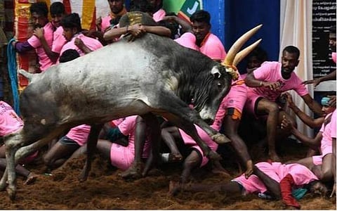 ஜல்லிக்கட்டு | 150 பார்வையாளர்களுக்கு மட்டுமே அனுமதி: தமிழக அரசின் கட்டுப்பாடுகள் - முழு விவரம்