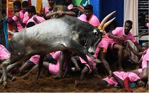 கோவையில் நடைபெறும் ஜல்லிக்கட்டு போட்டியில் இரண்டு தவணை தடுப்பூசி செலுத்தியவர்களுக்கு மட்டுமே அனுமதி