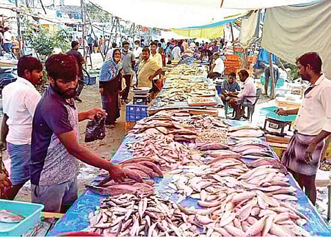 மாட்டுப் பொங்கல் மற்றும் ஊரடங்கைத் தொடர்ந்து காஞ்சிபுரம் மீன் மார்க்கெட் பகுதியில் கூடிய மக்கள்.