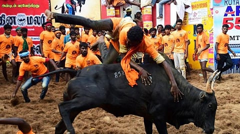 அலங்காநல்லூர் ஜல்லிக்கட்டில் 21 காளைகளைப் பிடித்த கார்த்திக் சிறந்த மாடுபிடி வீரராகத் தேர்வு: உதயநிதி சார்பில் கார் பரிசளிப்பு