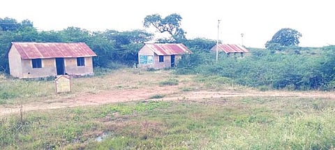 எட்டயபுரம் அருகே முத்துலாபுரத்தில் மாட்டுச்சந்தை நடைபெற்ற போது கால்நடை மருத்துவ குழுக்கள் பணியாற்ற அமைக்கப்பட்ட கட்டிடங்கள்.