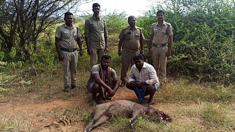 யூடியூப் பார்த்து வெடிமருந்து தயாரித்து காட்டுப்பன்றியை வேட்டையாடிய இருவர் கைது