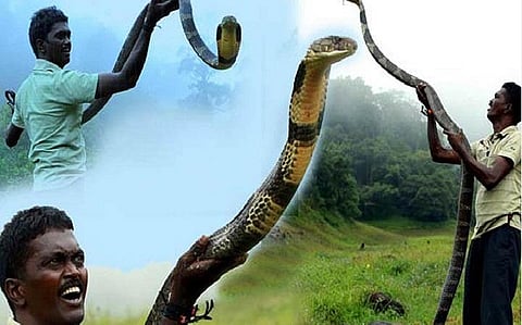 ஆயிரக்கணக்கான பாம்புகளைப் பிடித்த வாவா சுரேஷ் கவலைக்கிடம்: ராஜ நாகம் தீண்டியதால் தீவிர சிகிச்சை