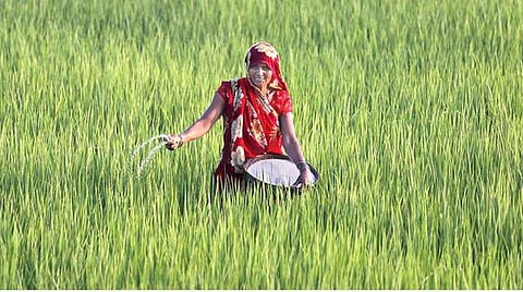 கோப்புபடம்