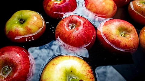 ஆப்பிள் ஏன் தண்ணீரில் மிதக்கிறது? - டிங்குவிடம் கேளுங்கள்!