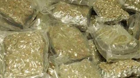 அரக்கோணம்: கடத்த முயன்ற 13 கிலோ கஞ்சா பறிமுதல்