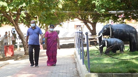 நீரிழிவு முதல் மன அழுத்தம் வரை... நலன் காக்கும் நடைப்பயிற்சி - தெளிவுதரும் மருத்துவரின் வழிகாட்டுதல்