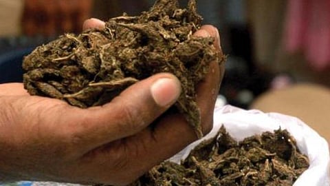 ரயிலில் கடத்த முயன்ற 16 கிலோ கஞ்சா பறிமுதல்: ஒடிசாவைச் சேர்ந்த 2 பேர் கைது