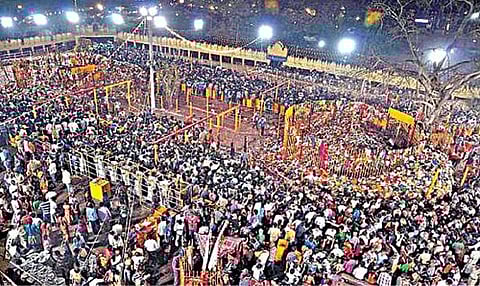 தெலங்கானா மாநிலம், மேடாரம் கிராமத்தில் வன தேவதைகள் விழாவில் பங்கேற்ற பக்தர்கள்.