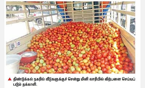 விளைச்சல் அதிகரிப்பால் திண்டுக்கல்லில் தக்காளி விலை வீழ்ச்சி: கிலோ ரூ.5 முதல் 10 வரை விற்பனையாகிறது