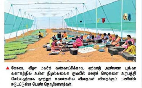 ஏற்காடு மலர்க் கண்காட்சிக்காக 2 லட்சம் விதைகள் 10 ஆயிரம் தொட்டிகளில் விதைப்பு: 40 வகையான மலர்கள் உற்பத்திக்கு நடவடிக்கை