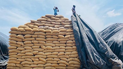 குவிக்கப்பட்டுள்ள நெல் மூட்டைகள் | படம்: வி. சுந்தர்ராஜ்