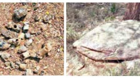 திருப்பத்தூர் அருகே கண்டெடுக்கப்பட்டுள்ள கற்குவைகள்.