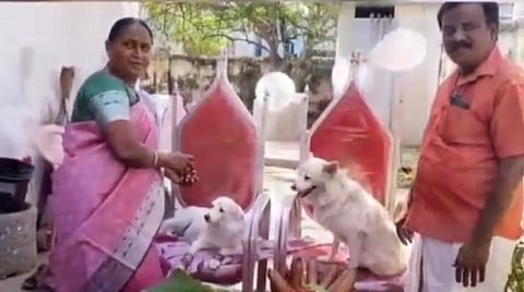 சேலத்தில் வளர்ப்பு நாய்க்கு வளைகாப்பு நடத்திய தம்பதி