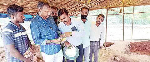 ஆதிச்சநல்லூரில் நடந்து வரும் அகழாய்வு பணிகளை மத்திய தொல்லியல் துறை திருச்சி மண்டல இயக்குநர் அருண்ராஜ் பார்வையிட்டார்.