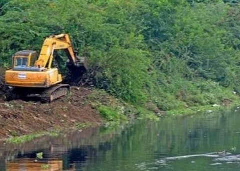 சீமை கருவேல மரங்களை அகற்ற இறுதிக் கொள்கை: தமிழக அரசுக்கு உயர் நீதிமன்றம் கால அவகாசம்