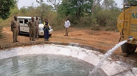 பணிகளைப் பார்வையிடும் மாவட்ட வன அலுவலர் கார்த்திகேயினி