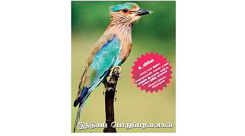 பறவைகளைப் பின்தொடர உதவும் படஅட்டை விளையாட்டு