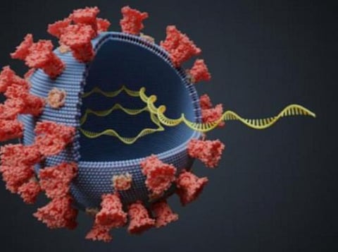 இந்தியாவில் எக்ஸ்இ கரோனா தொற்று இல்லை: மத்திய அரசு அறிவிப்பு