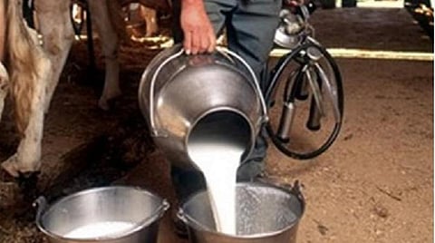 விவசாயிகளிடமிருந்து இனி 365 நாட்களும் பால் கொள்முதல்: தமிழக அரசு அறிவிப்பு